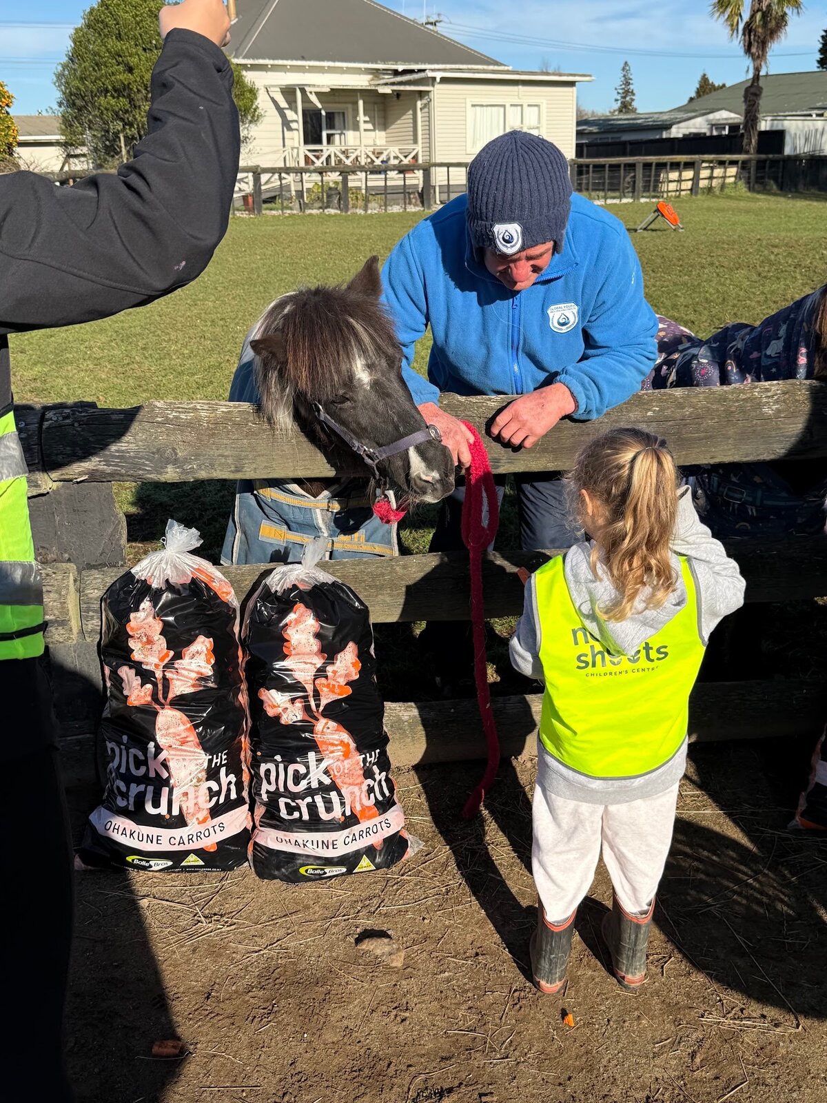Farm Session Supported By Fresh Carrot Donation