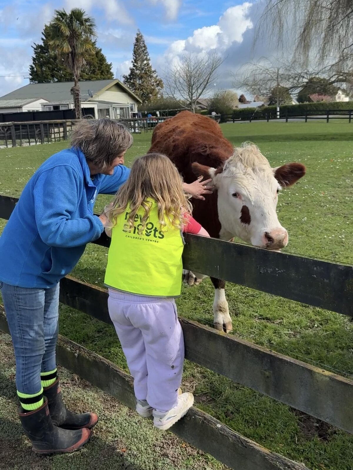 Cattle Herd Relocated And Children Visit