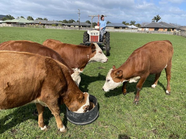 Hands-On Experience in Daily Animal Care