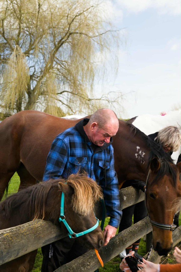 Warm Equine Interaction Experience Day