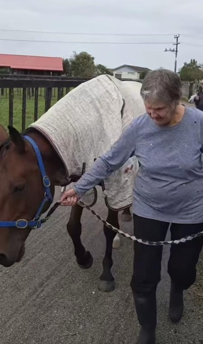 Heartwarming And Healing Moment At The Equine Facility