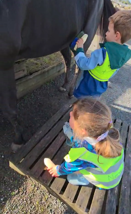 Children Visit GYNZ Equine Facility To Care For Rescued Horses