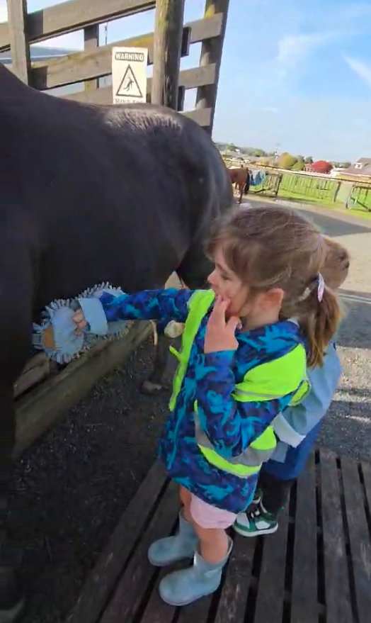 Brushing the Horses