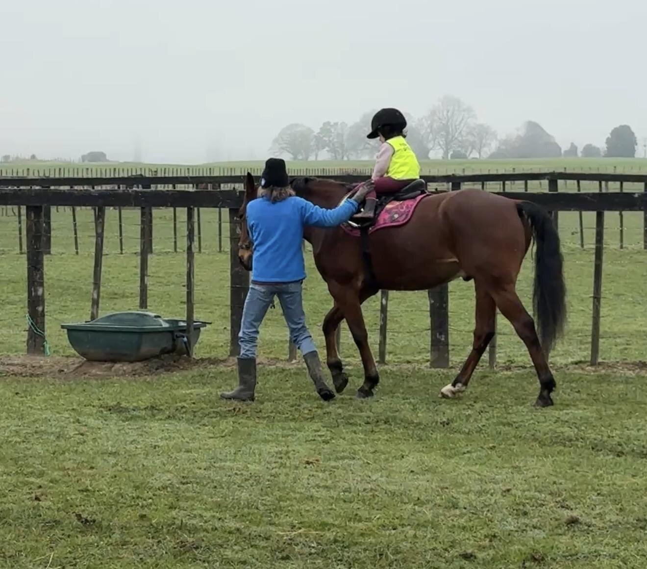 Supervised Horse Riding For Children