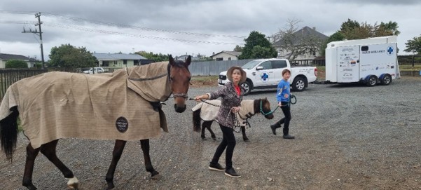 Walking The Horses