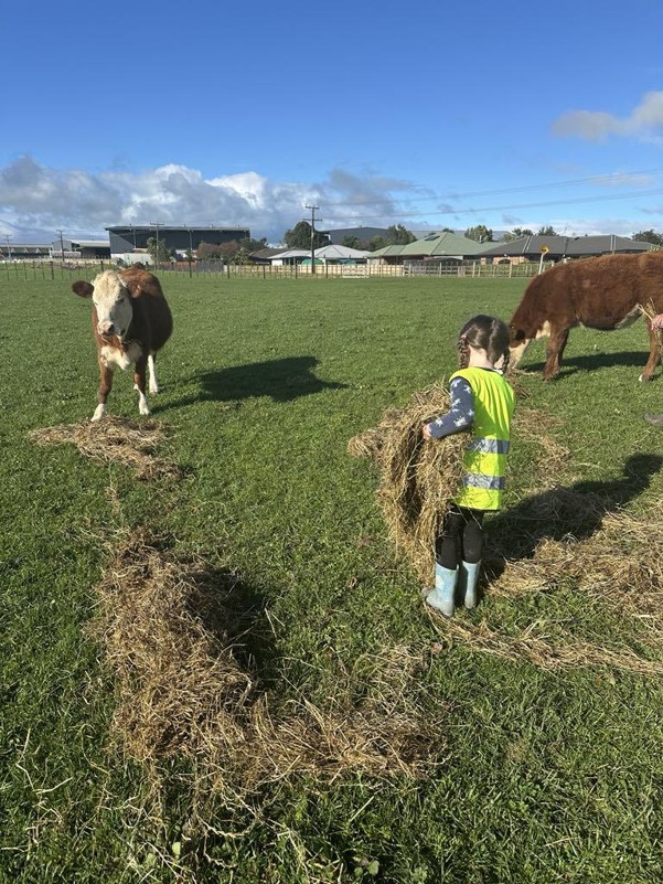 New Shoots With The Cows