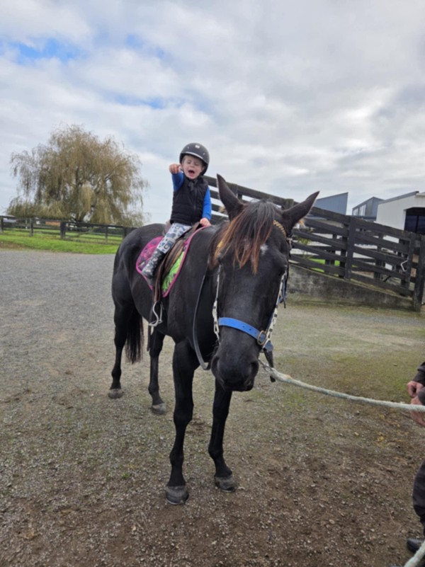 Waikato Stud and I Wish I Win Visit