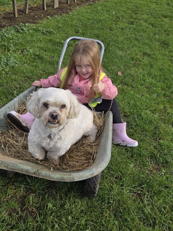 Billy in the Wheelbarrow