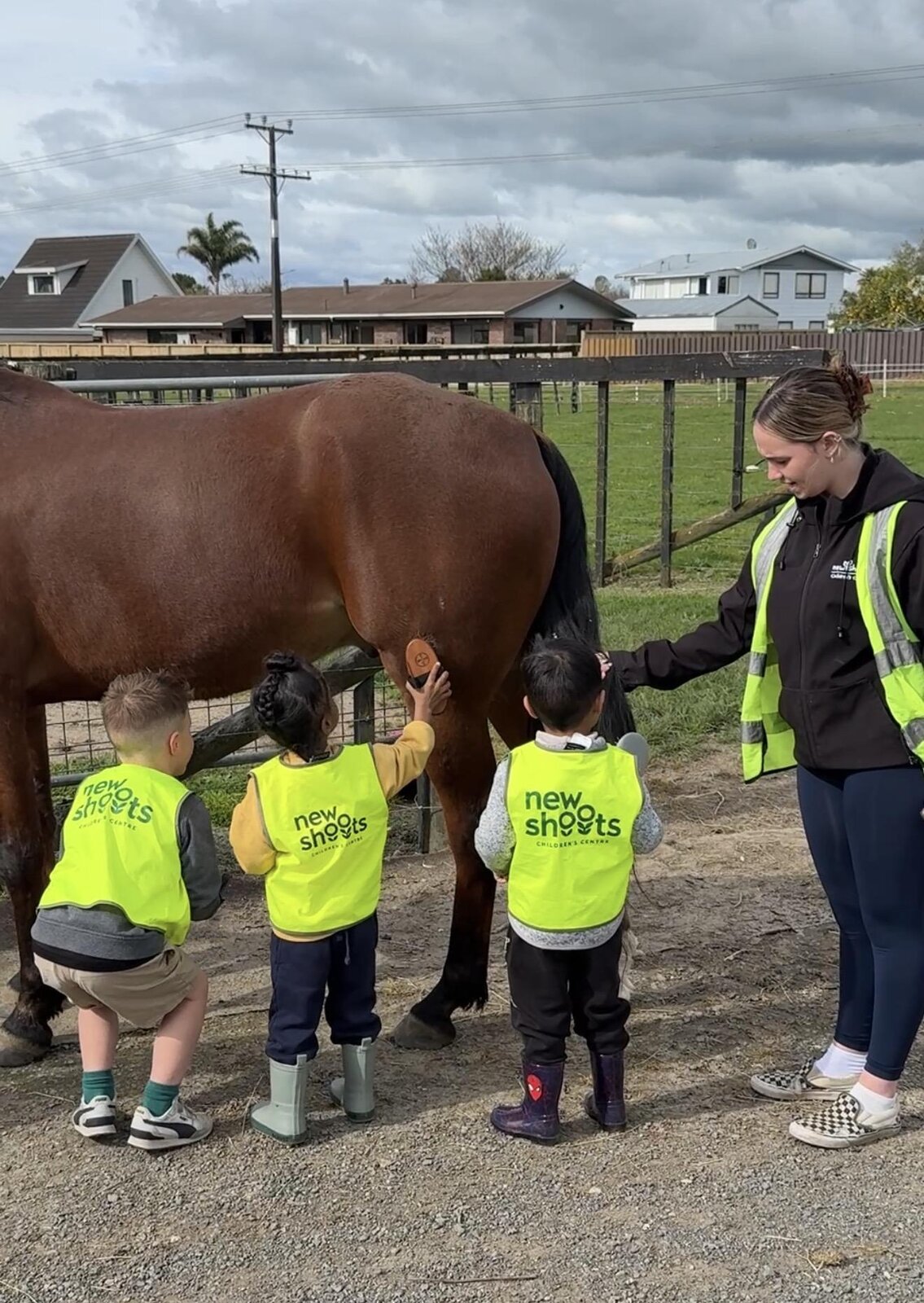 Young Volunteers Groom And Ride Horses