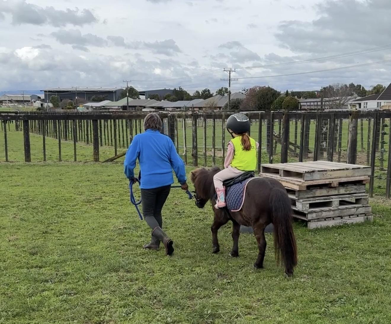 Young Volunteers Groom And Ride Horses
