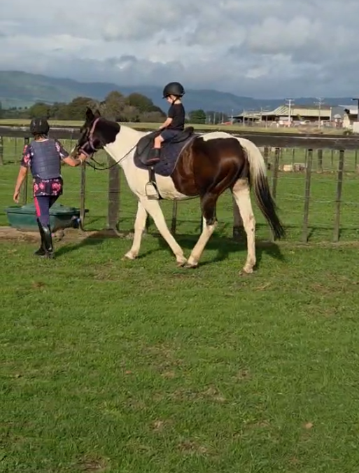 Youth Equestrian Event